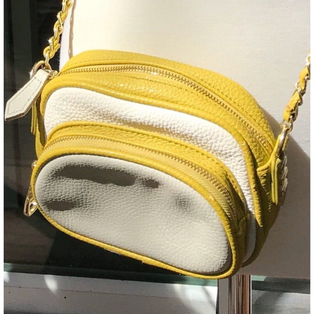 Steve Madden Crossbody Spring Time Purse